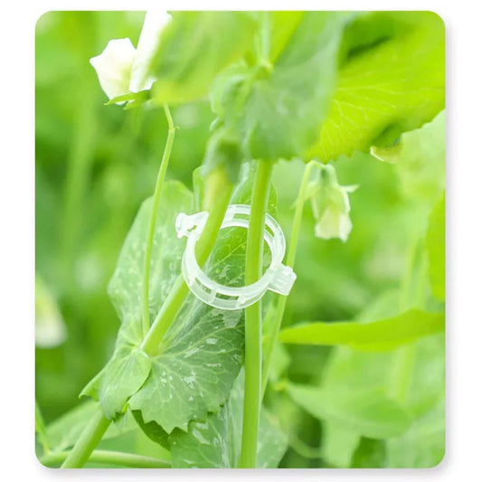 100-300Pcs 25mm Garden Plant Support Clips Veggie Tomato Trellis Twine