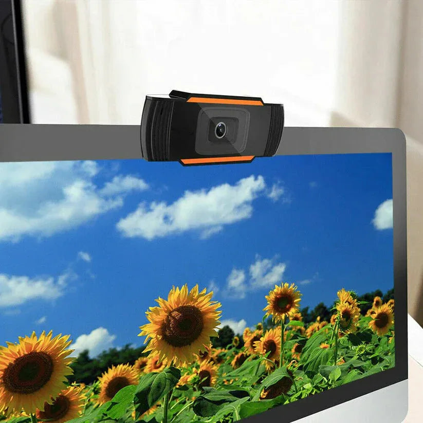 Webcam on a computer screen displaying a sunflower field