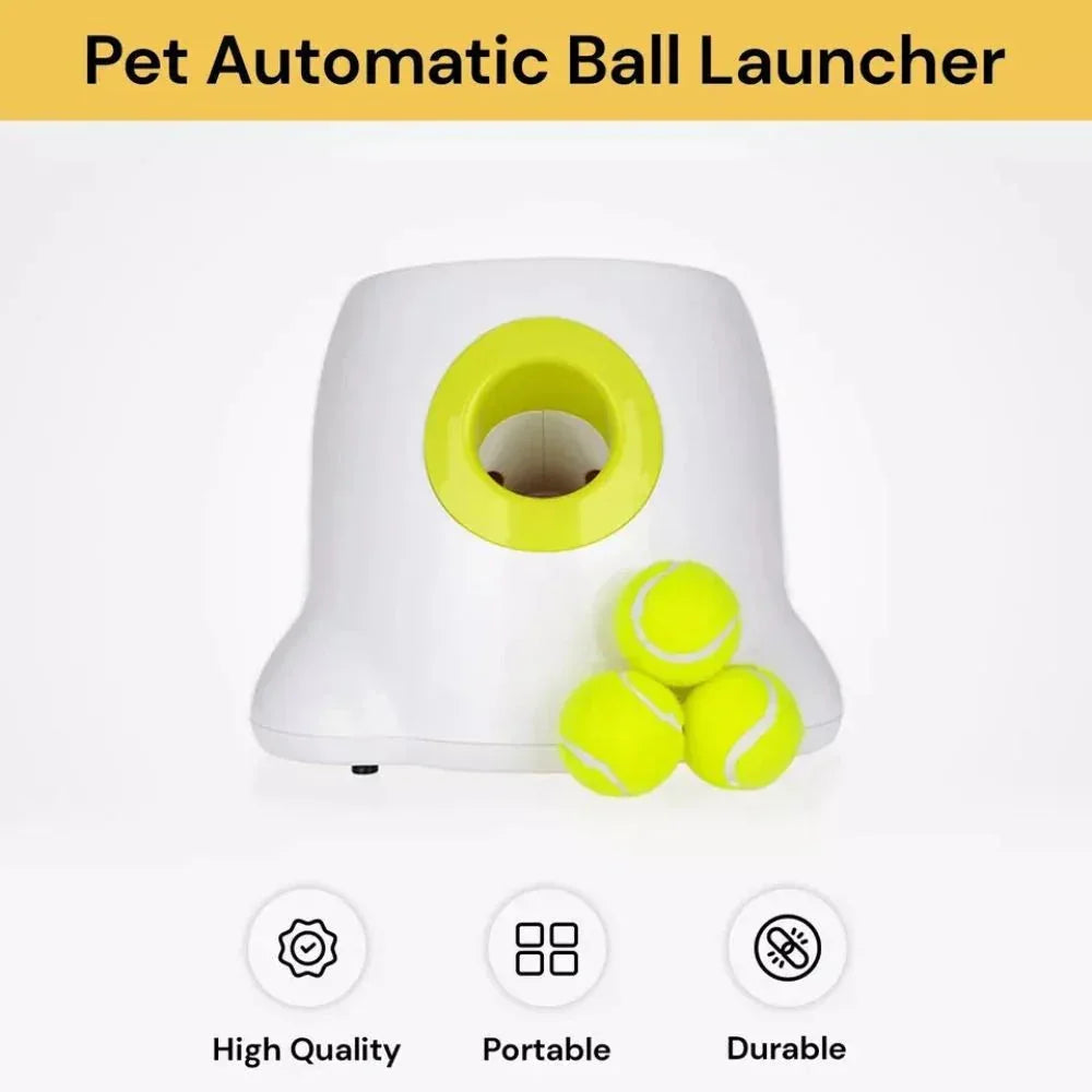 Pet automatic ball launcher with tennis balls on a white background