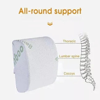 Memory foam pillow with labeled spine support on a white background