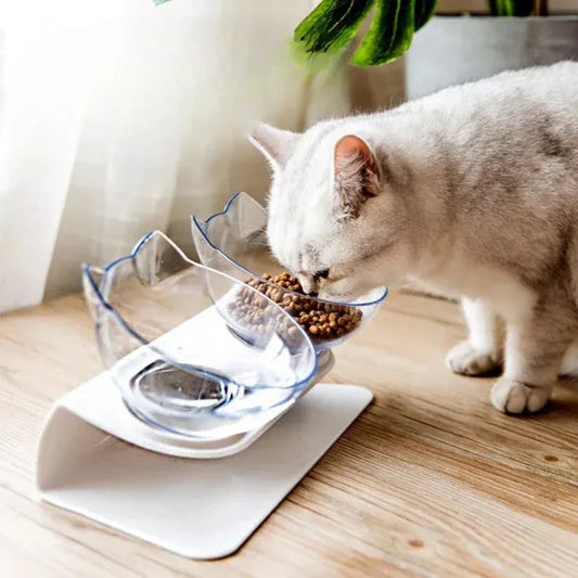 Cat eating from a elevated glass bowl on a wooden surface.