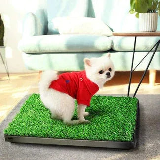 Small dog wearing a red shirt on a grass-like mat in a living room.