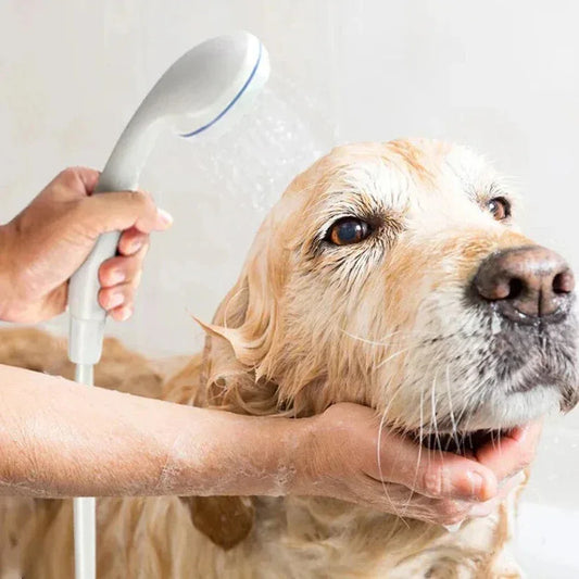Dog being bathed with a handheld shower head by a person.