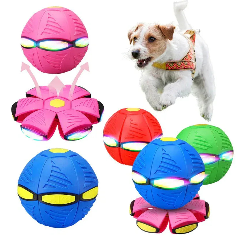 Colorful dog toys with a dog in the background


