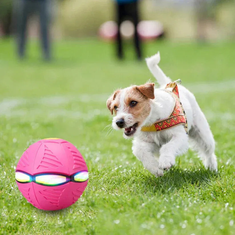 Dog playing with a pink ball on a grassy field

