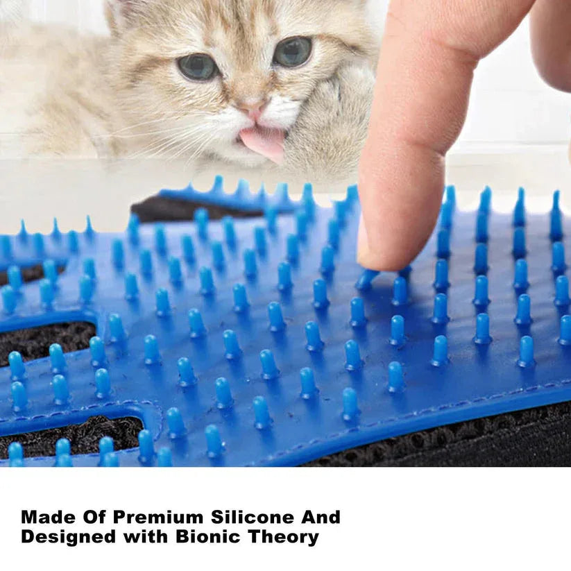 Blue silicone mat with raised bumps, used as a cat toy, with a kitten and a finger interacting with it.


