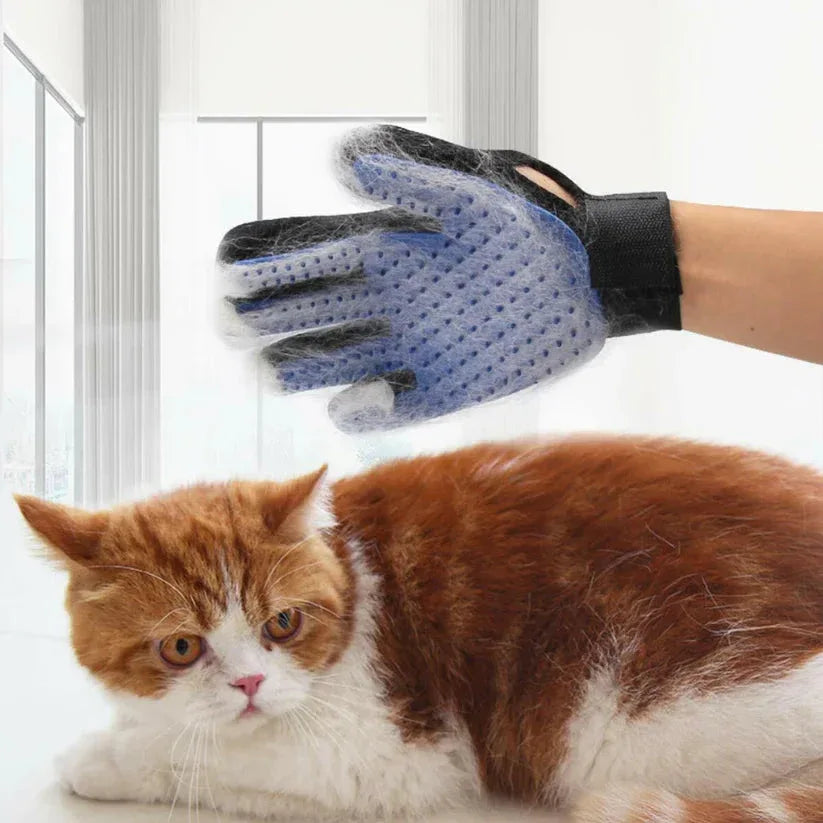 Pet grooming glove with a cat on a white background

