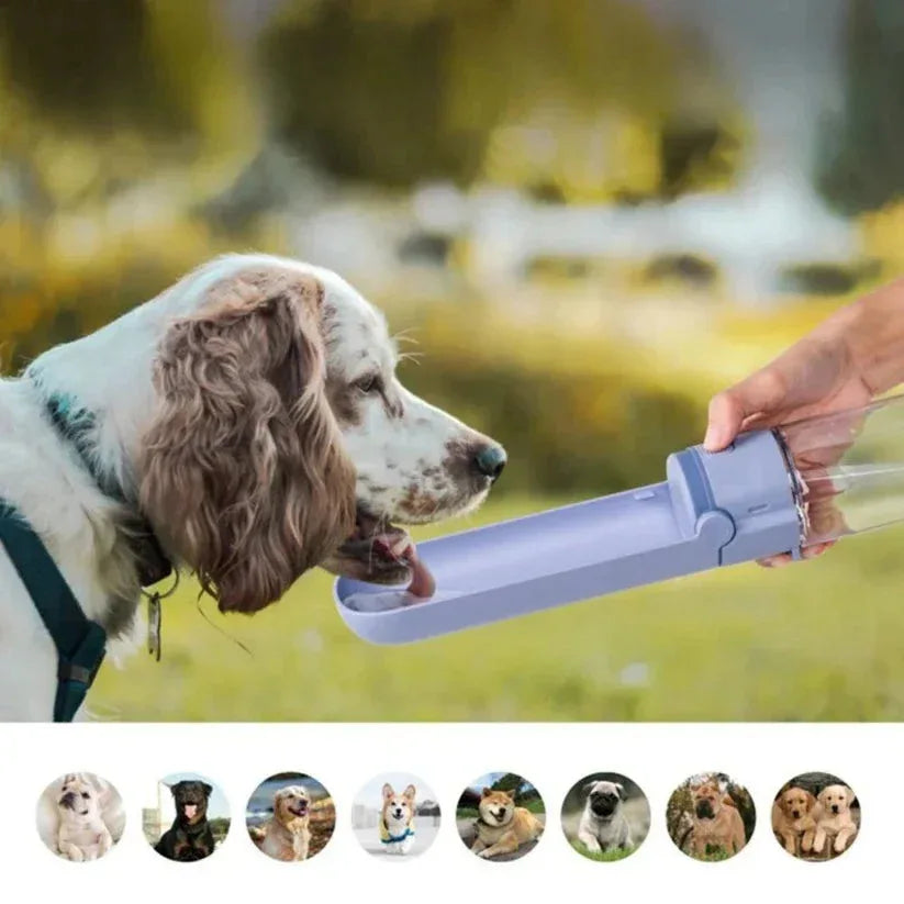 Dog drinking from a portable water bottle with a blurred natural background

