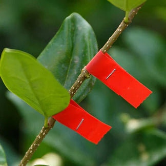 Hand Tying Branch Binding Machine Garden Plant Vegetable Tapetool Tapener Supply Ausie Sales