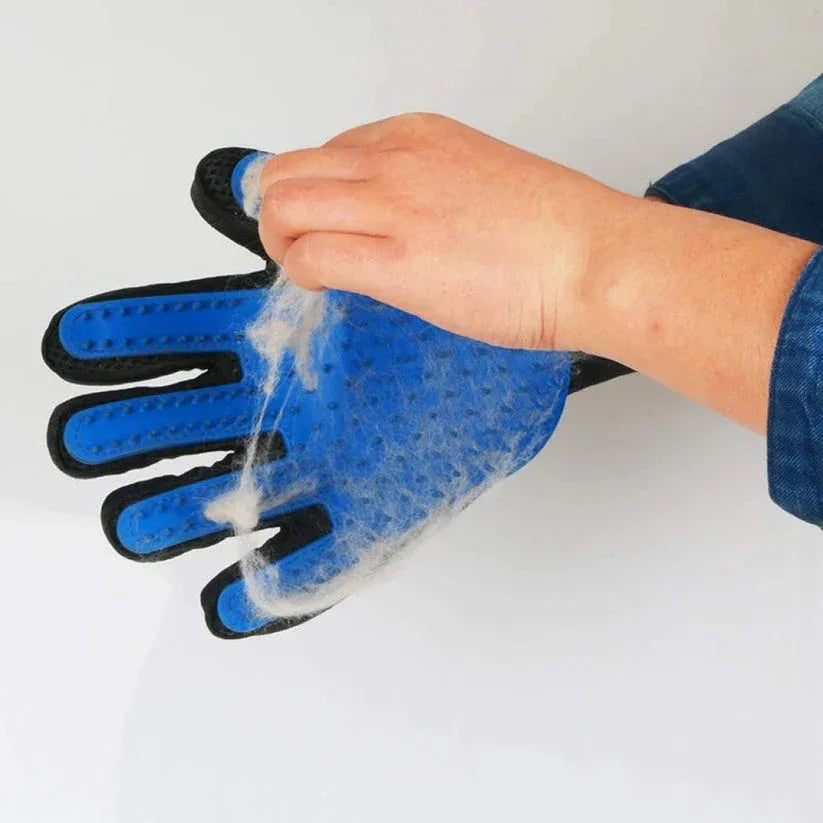 Person wearing a blue pet grooming glove with fur on a white background

