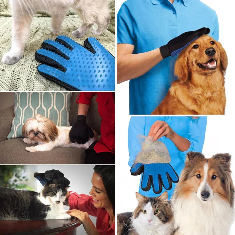 Collage of images showing pet grooming gloves being used on pets and a person.

