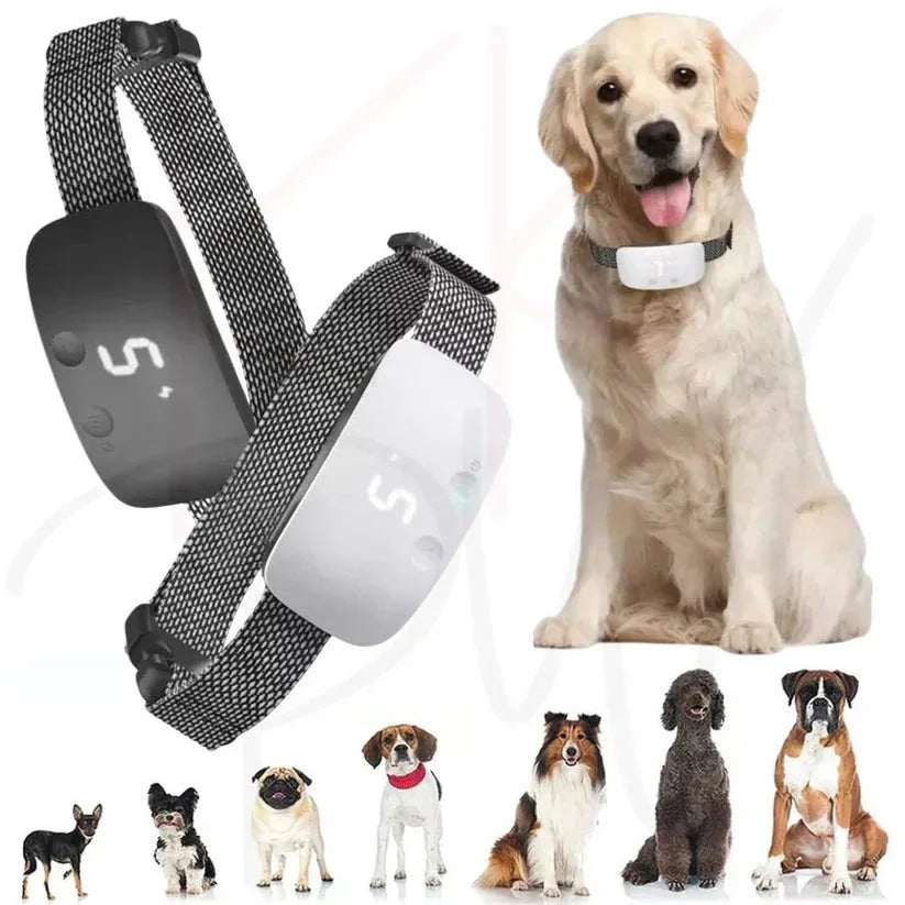 Pet GPS tracker with a dog wearing it, and images of various dogs.

