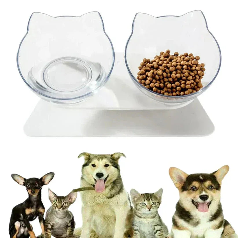 Pet bowls with water and food, surrounded by various pets on a white background

