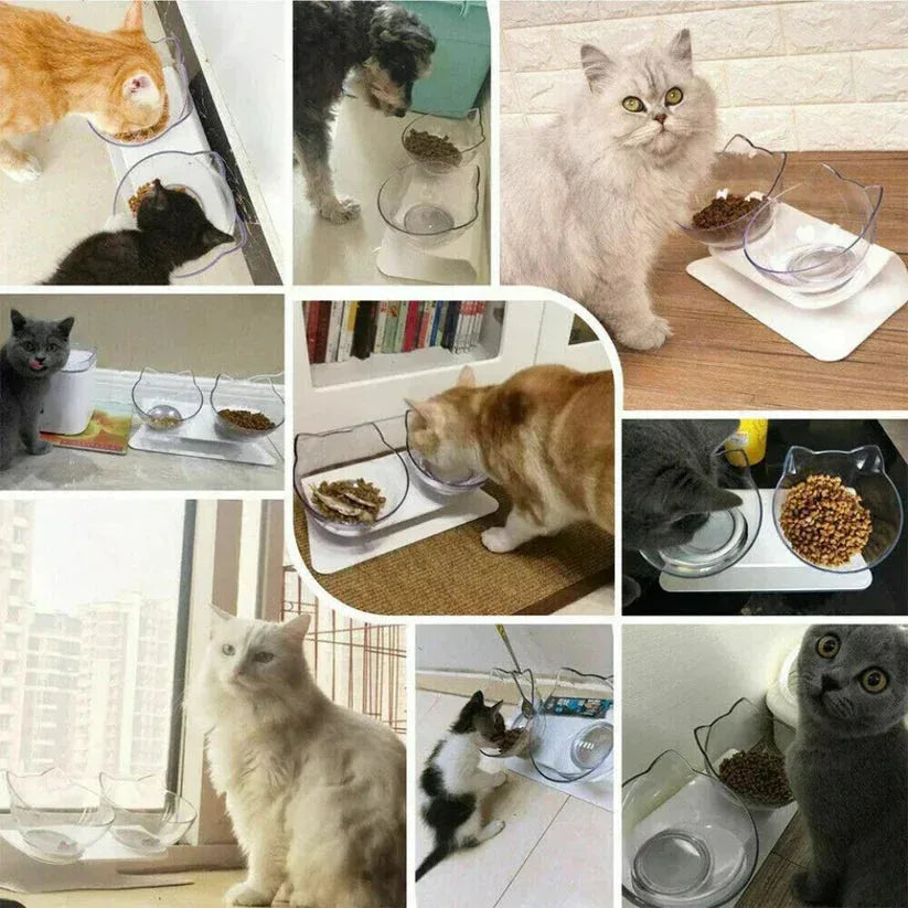Collage of cats eating from a bowl in various settings

