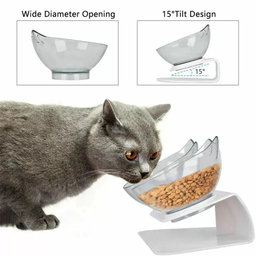Cat interacting with a elevated pet feeder with wide diameter opening and 15-degree tilt design.

