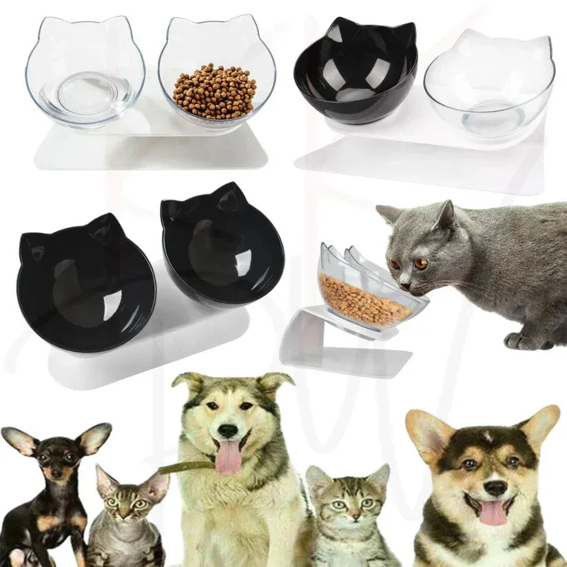 Cat bowls with a cat and dogs on a white background

