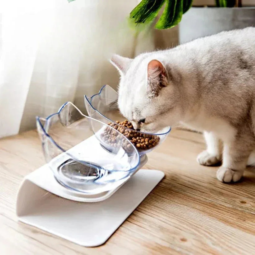 Cat eating from a elevated glass bowl on a wooden surface.

