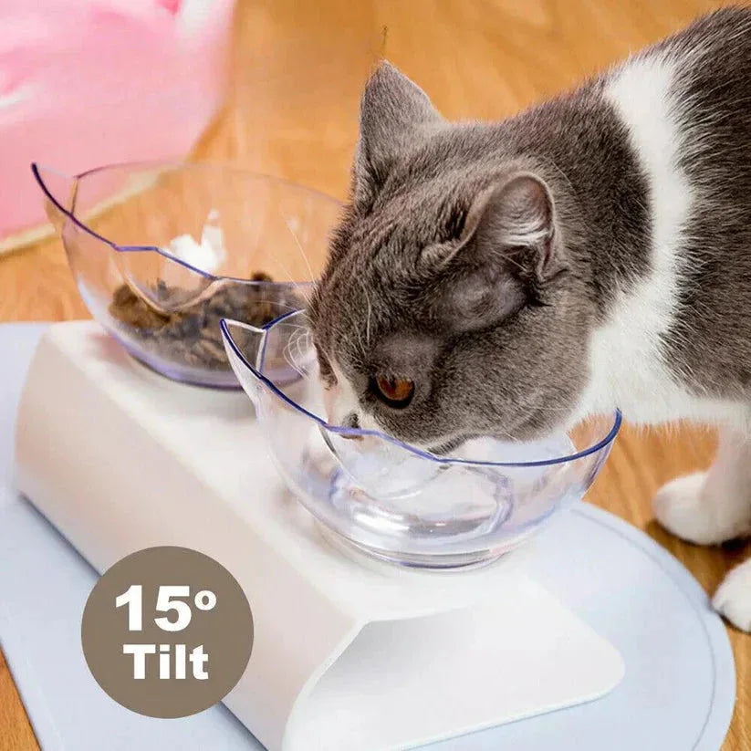 Cat drinking water from a倾斜的喂食器

