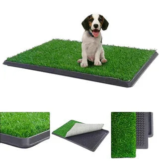 Dog sitting on a artificial grass pad with a white background

