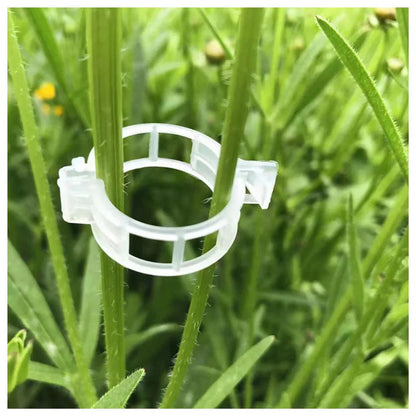 100-300Pcs 25mm Garden Plant Support Clips Veggie Tomato Trellis Twine Ausie Sales