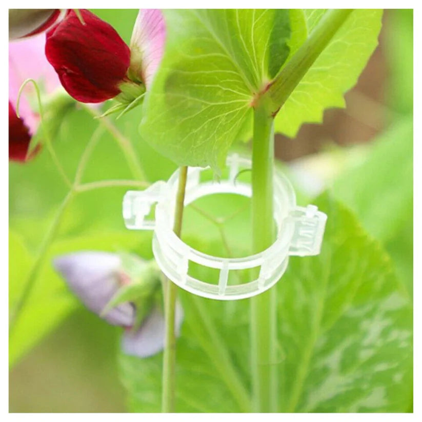 100-300Pcs 25mm Garden Plant Support Clips Veggie Tomato Trellis Twine Ausie Sales