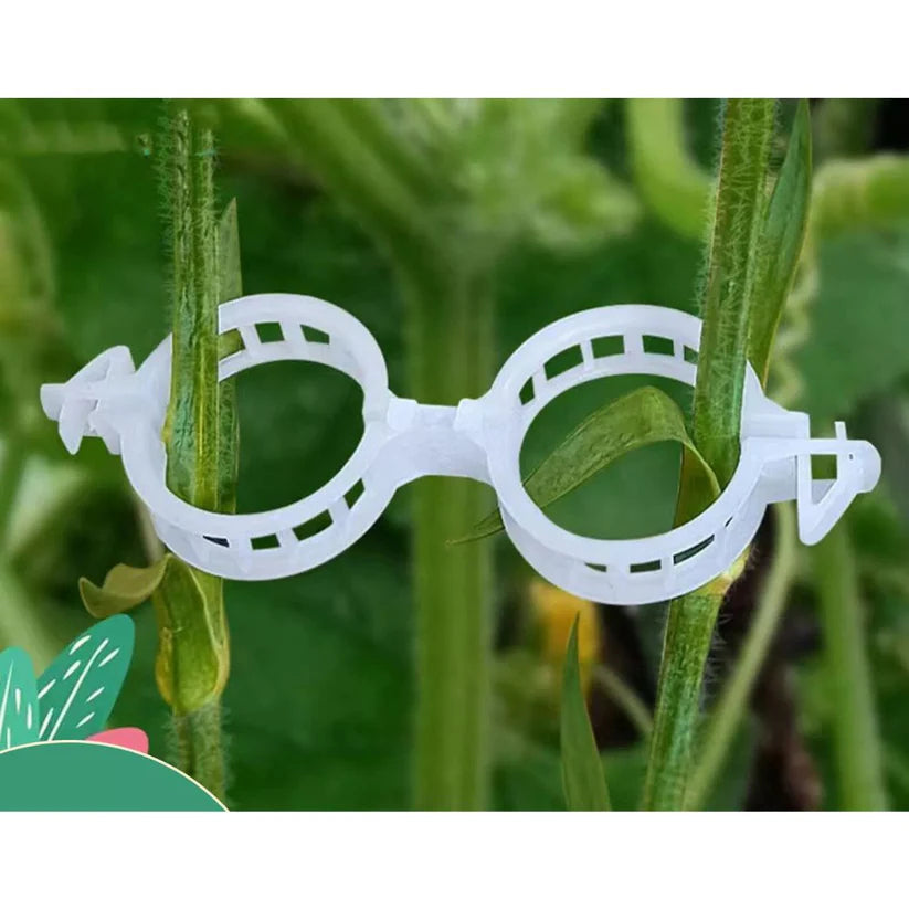 100-300Pcs 25mm Garden Plant Support Clips Veggie Tomato Trellis Twine Ausie Sales