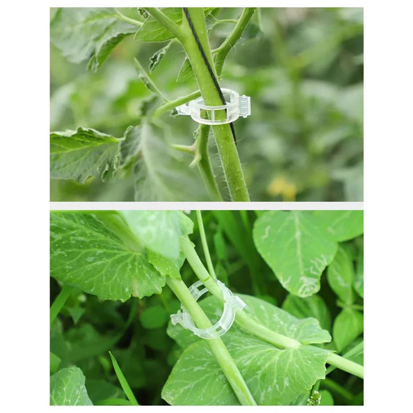 100-300Pcs 25mm Garden Plant Support Clips Veggie Tomato Trellis Twine Ausie Sales