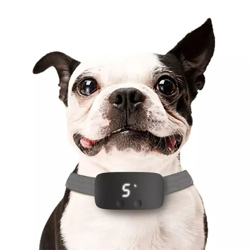 Anti Bark Collar Device Rechargeable Smart Compact Training Shock Ausie Sales