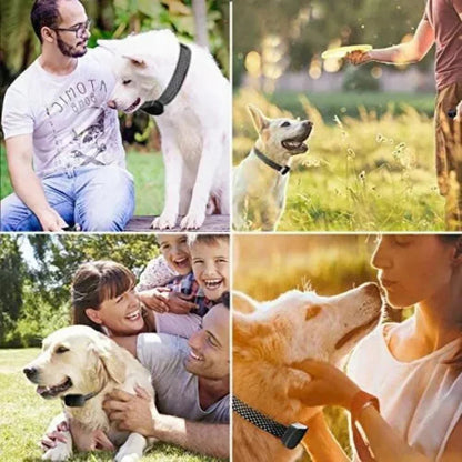 Anti Bark Collar Device Rechargeable Smart Compact Training Shock Ausie Sales