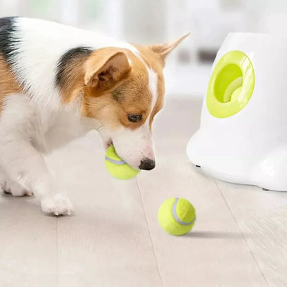 Automatic Pet Dog Ball Launcher Throwing Machine Tennis Ball Interactive Fetch Toy + 3 Ball Ausie Sales