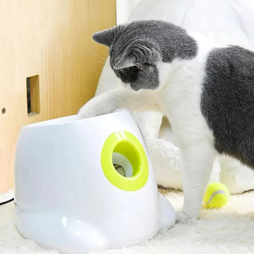 Automatic Pet Dog Ball Launcher Throwing Machine Tennis Ball Interactive Fetch Toy + 3 Ball Ausie Sales