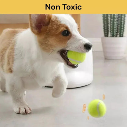 Automatic Pet Dog Ball Launcher Throwing Machine Tennis Ball Interactive Fetch Toy + 3 Ball Ausie Sales