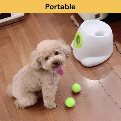 Automatic Pet Dog Ball Launcher Throwing Machine Tennis Ball Interactive Fetch Toy + 3 Ball Ausie Sales