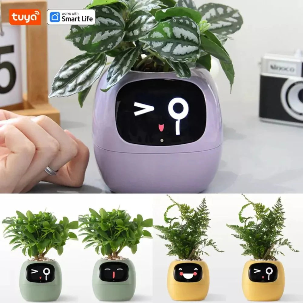 Tuya Ivy Smart Planter: AI Plant Care, Endless Fun, 7 Sensors, 49 Expressions Ausie Sales