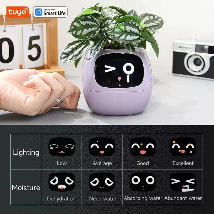 Tuya Ivy Smart Planter: AI Plant Care, Endless Fun, 7 Sensors, 49 Expressions Ausie Sales