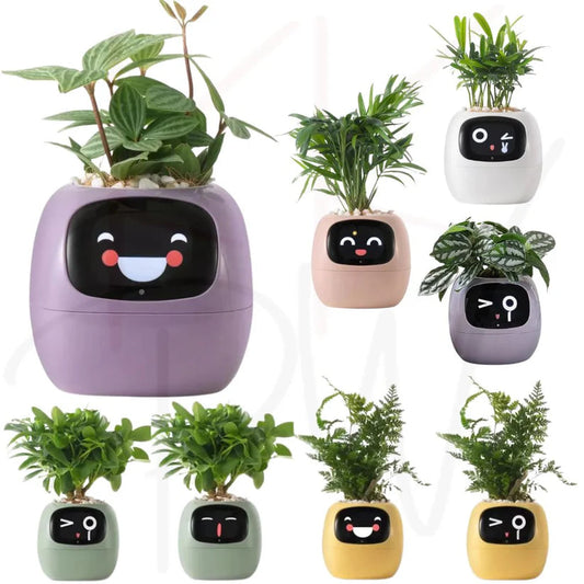 Tuya Ivy Smart Planter: AI Plant Care, Endless Fun, 7 Sensors, 49 Expressions Ausie Sales