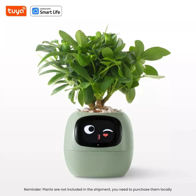 Tuya Ivy Smart Planter: AI Plant Care, Endless Fun, 7 Sensors, 49 Expressions Ausie Sales