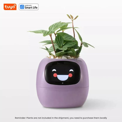 Tuya Ivy Smart Planter: AI Plant Care, Endless Fun, 7 Sensors, 49 Expressions Ausie Sales