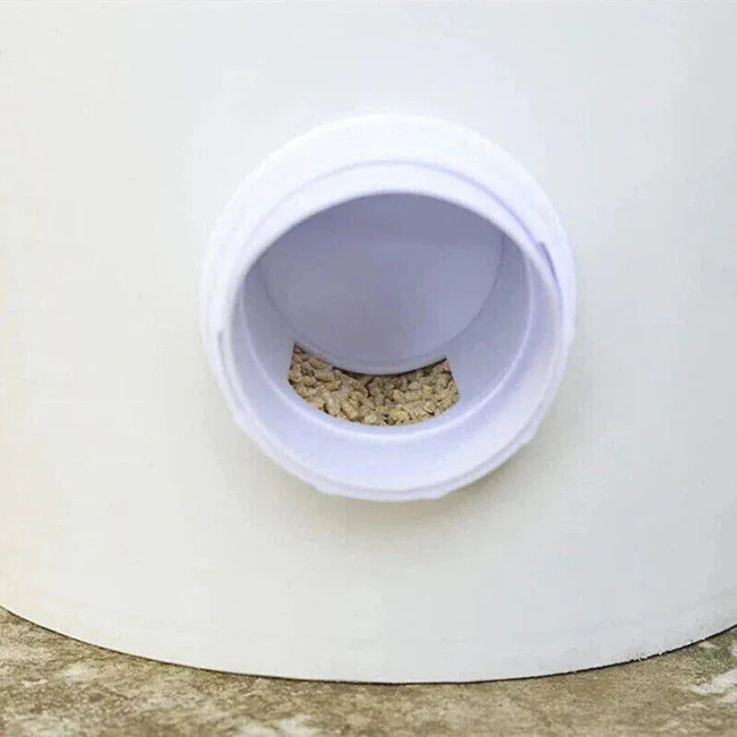 Small container with a white lid on a white surface

