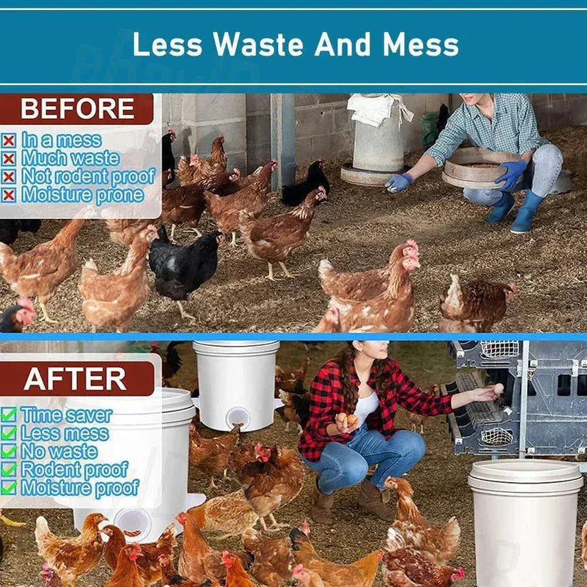 Before and after comparison of a chicken coop with waste management improvements.

