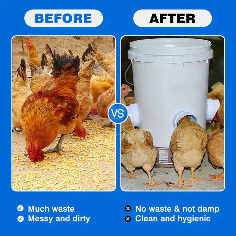 Before and after comparison of chickens with a waste management system on a blue background.


