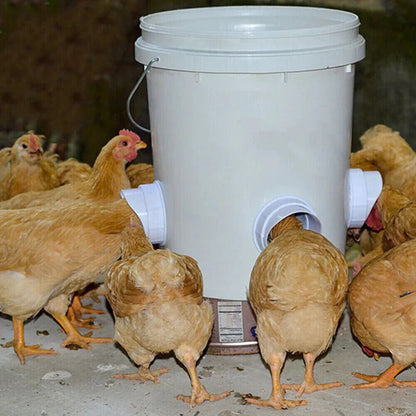 Chicken Feeder Poultry Pro Feeder DIY Port PVC Gravity Fed