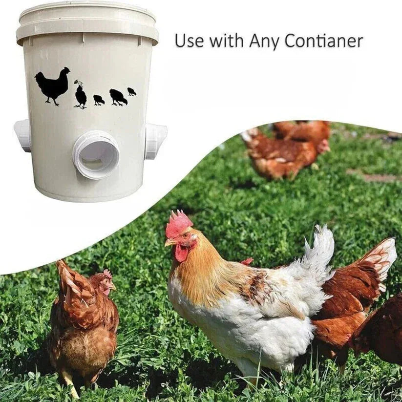 White poultry feeder with chicken illustrations and chickens on grass

