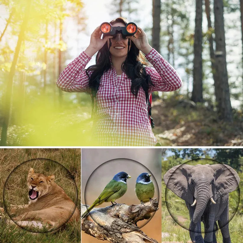 60X60 HD Day/Night Vision Binoculars Outdoor 3000M Telescope for Hunting Travel