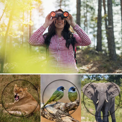 60X60 HD Day/Night Vision Binoculars Outdoor 3000M Telescope for Hunting Travel