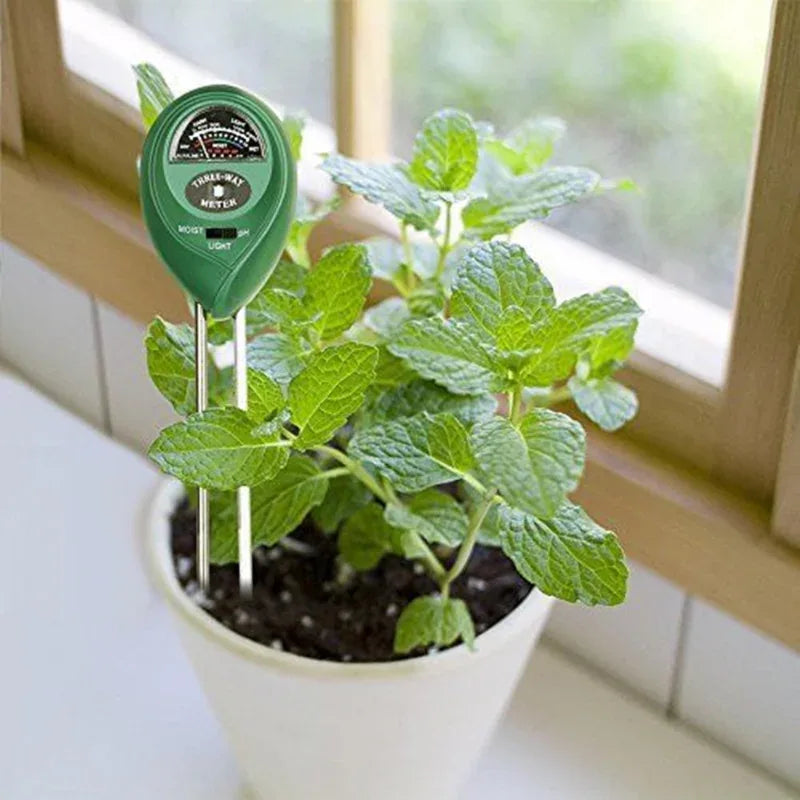 Green plant with a soil moisture meter inserted into the soil, placed on a windowsill.

