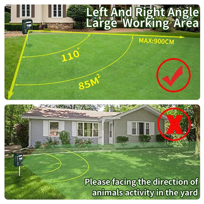 Comparison of a large working area for a dog exercise system with and without facing direction towards animal activity.

