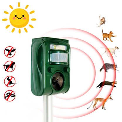 Green electronic device with sun icon and animal illustrations on a white background

