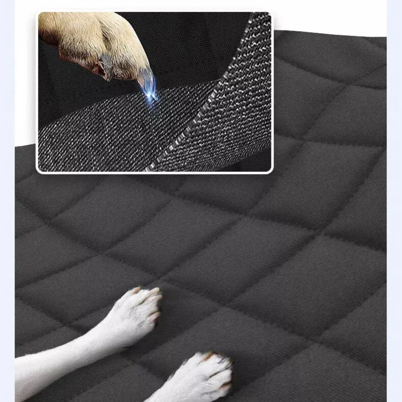 Black quilted mat with close-up of texture and dog paws on a white background

