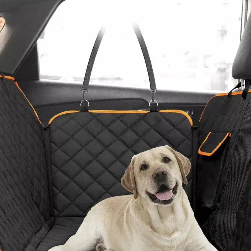 Dog sitting on a black car seat cover with orange accents

